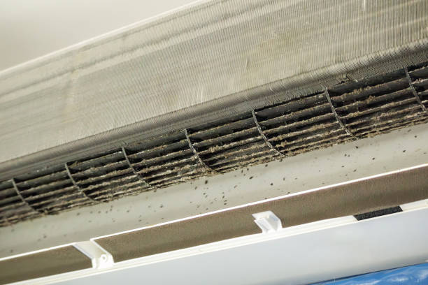 Best Professional Duct Cleaning Services  in Marquette Heights, IL